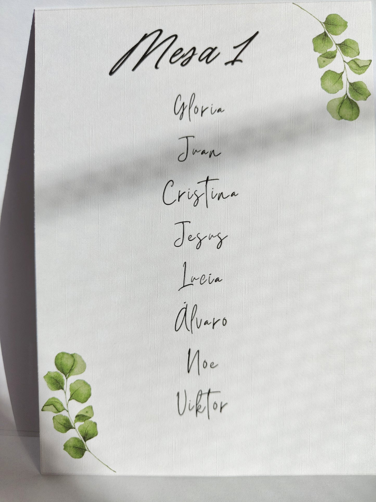 Seating plang - Colección Forest